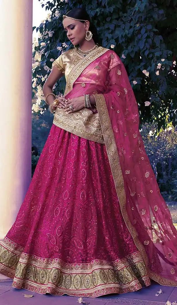 Pink Color Net Circular Style Wedding Lehenga Choli | FH508277424
