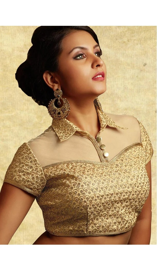 Beige Color Dupioni Raw Silk Collar Neck Designer Readymade Blouse | FH511877927