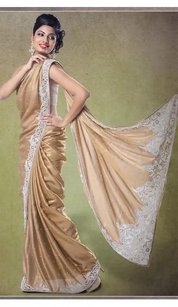 Designer Style Bridel Wedding Saree in Net Shimmer Tan Brown Color | FH515878453