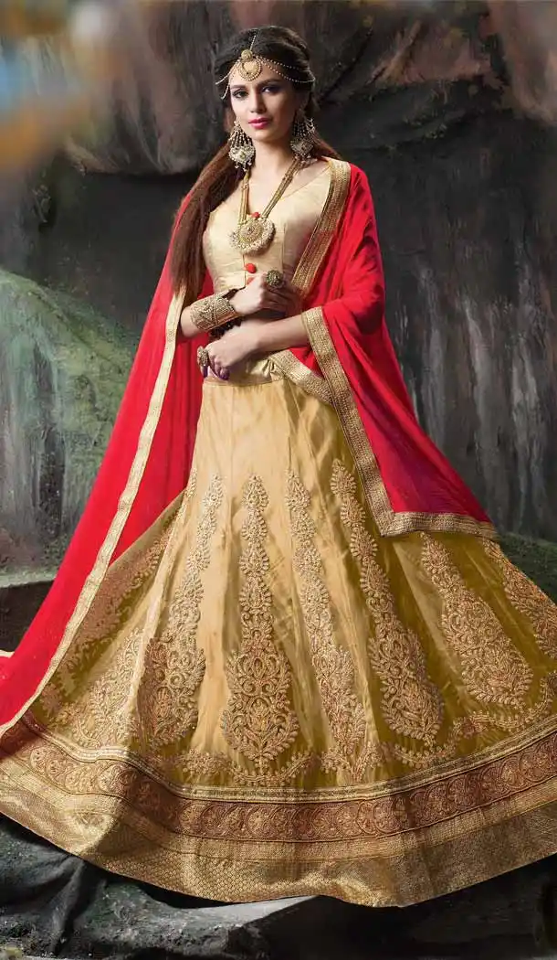 Beige Color Net Embroidered Traditional Wear Lehenga Choli | FH523879331
