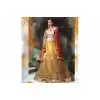 Butter Scotch Color Net Embroidered Traditional Wear Lehenga Choli | FH523879339