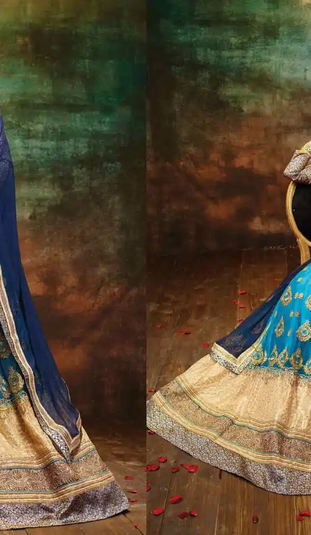 Sky Blue Color Net Circular Style Crystals Stones Traditional Lehenga Choli FH524279374