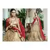 French Beige Color Net Circular Style Bridal Designer Lehenga Choli | FH529079983