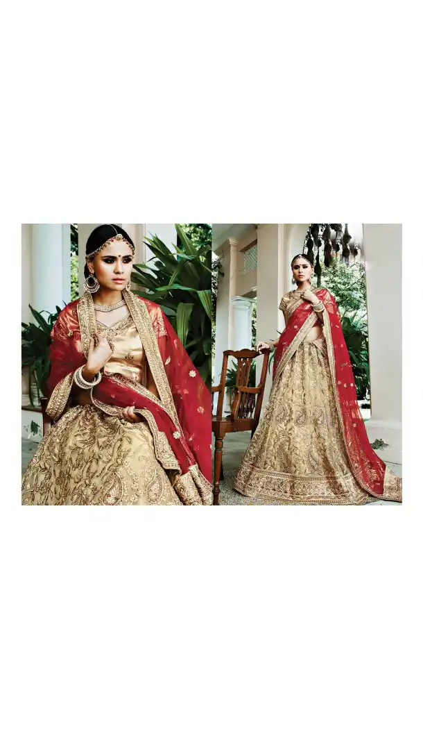 French Beige Color Net Circular Style Bridal Designer Lehenga Choli | FH529079983