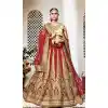 Red Color Net Circular Style Bridal Designer Lehenga Choli | FH529079985