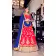 A Line Style Parrot Pink Color Net Traditional Wear Lehenga Choli | FH531880380