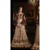 Beige Color Net,Velvet Long Pakistani Style Designer Salwar Kameez | FH534980808