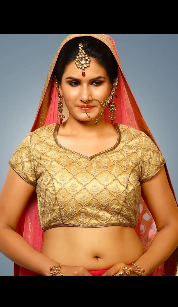 Gold Color Net Pointed U Neck Readymade Blouse | FH562383759