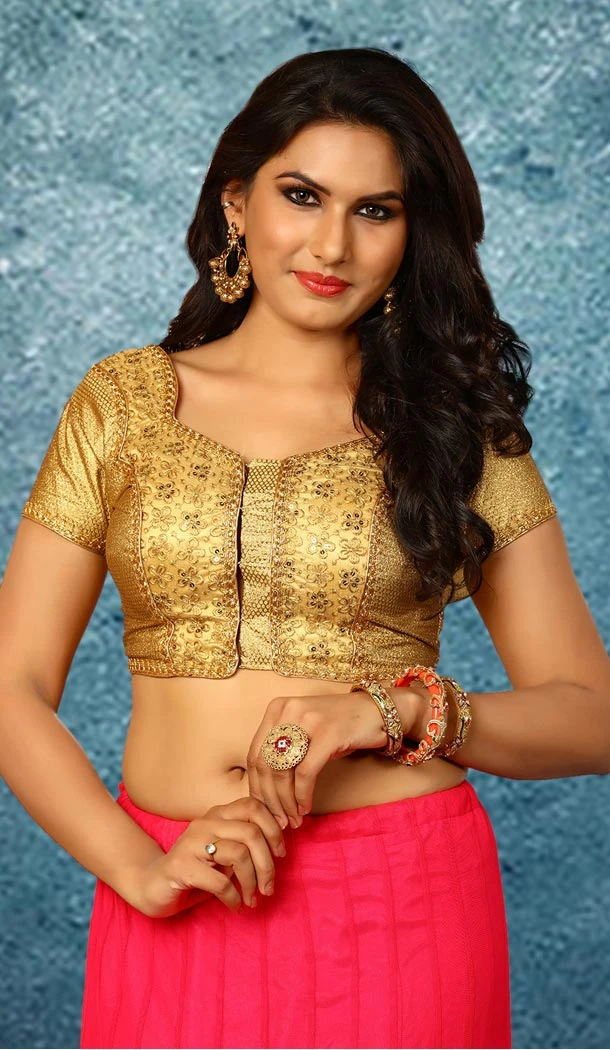 Gold Color Net Designer Wear Readymade Sweet Heart Neck Blouse | FH562683922