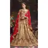 Tan Brown Color Silk Embroidered Traditional Circular Lehenga Choli | FH564584022