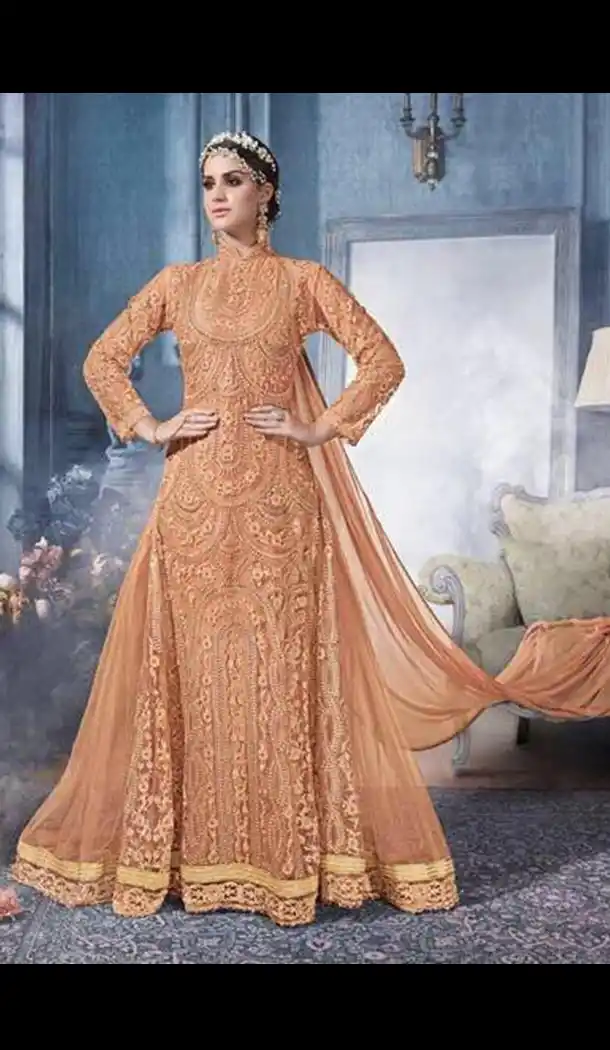 Orange Color Net Embroidery Pakistani Style Designer Salwar Kameez | FH567484321