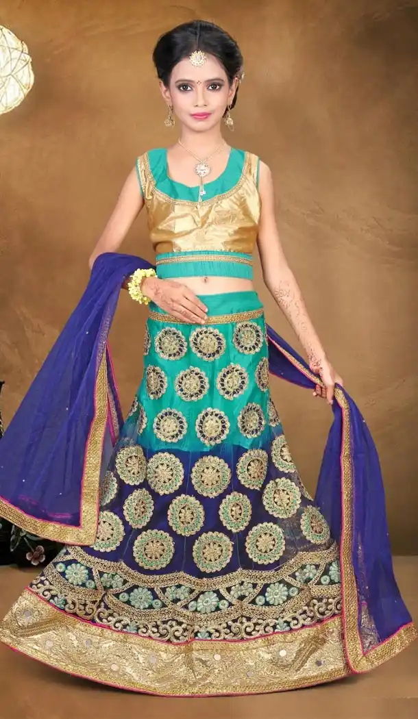 Sky blue and blue Color Net Embroidery Girls Lehenga Choli | 215924802