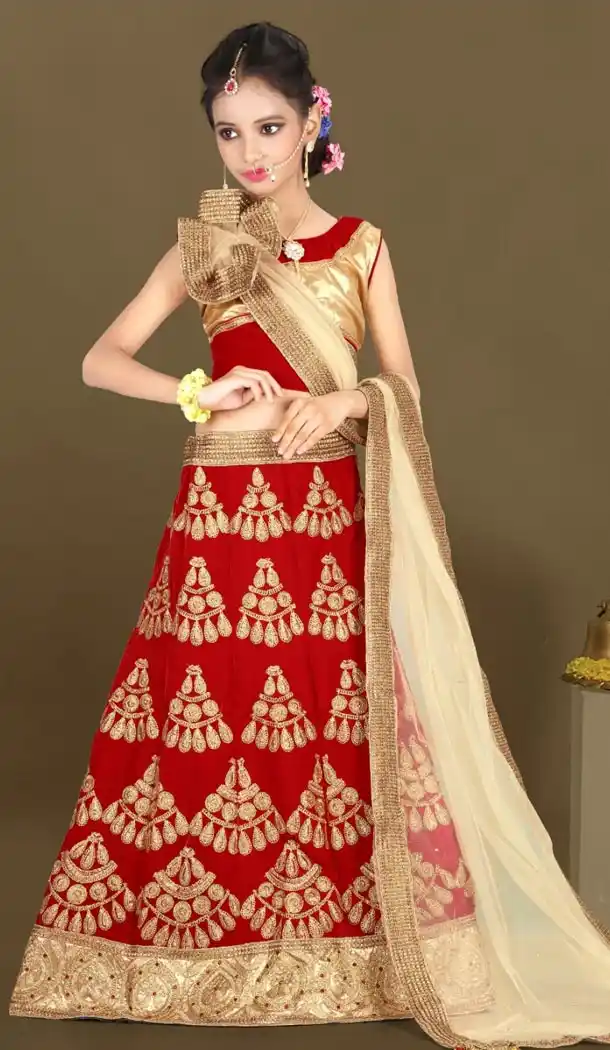 Maroon Color Net Embroidery Girls Lehenga Choli | 215924812