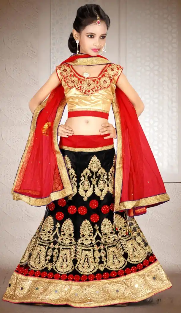 Gold Black Color Net Embroidery Girls Lehenga Choli | 215924816