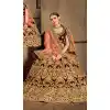 Wine Color Velvet Stone Work Wedding Lehenga | 365943465