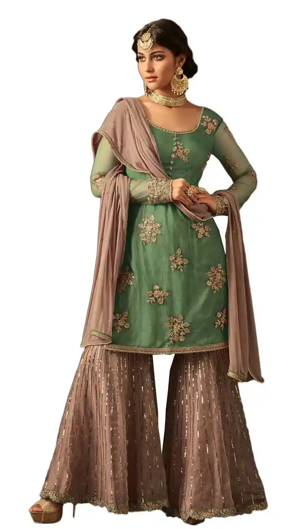 Light Green Color Net Designer Palazzo Pants Suit | 58117373