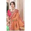Multi Color Silk Heavy Traditional Designer Saree Blouse | 379245410
