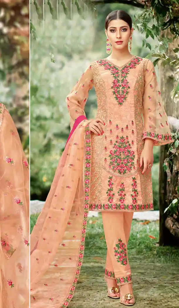 Beige Color Tissue with Inner Rasel Net Pakistani Dresses - 396647821