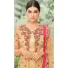 Beige Color Tissue with Inner Rasel Net Pakistani Dresses - 396647825
