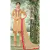Beige Color Tissue with Inner Rasel Net Pakistani Dresses - 396647825