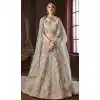 Silver Color Organza Silk Bridel Wear Designer Lehenga Choli