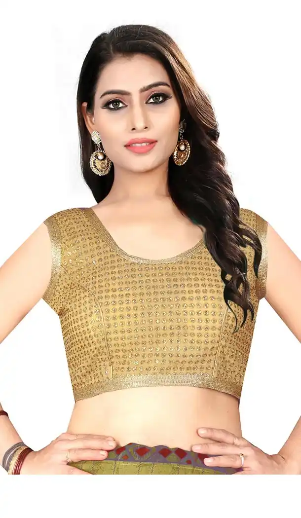 Chiku Color Silk Short Sleeve Party Wear Readymade Blouse - 418851013