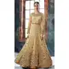 Beige Color Butterfly Net Designer Pakistani Anarkali Salwar Kameez