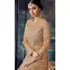 Coco Color Butterfly Net Designer Pakistani Anarkali Salwar Kameez
