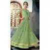 Olive Green Color Butterfly Net Designer Pakistani Anarkali Salwar Kameez
