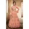 Peach Color Net Heavy Embroidery Designer Lehenga Choli