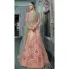 Pink Color Net Designer Wear Bridel Lehenega Choli