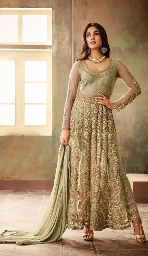 Khaki Color Net Heavy Embroidered Designer Salwar Kameez - 435953287