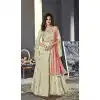 Pista Color Tussar Silk Designer Abaya Style Gown Dress