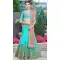 Firoji Color Net Party Wear Girl Lehenga Choli - 448654836