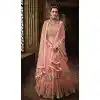 Light Pink Color Net Eid Special Pakitani Salwar Kameez