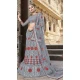 Grey Color Net Satin Party Wear Plus Size Chaniya Choli - 480359081
