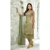 Mehendi Green Color Net Straight Cut Party Wear Salwar Kameez