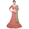 Gorgeous Coral Color Net Treditional Wear Lehenga Choli