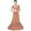 Greenish Cream Color Net A Line Treditional Lehenga Choli
