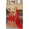 Red Color Silk Treditional Wear Lehenaga with Long Choli Blouse