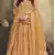 Designer Lehenga Choli