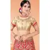 Pink Color Net Traditional Party Wear Lehenga Choli