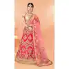 Pink Color Net Traditional Party Wear Lehenga Choli