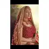 wedding lehenga choli designs with price
