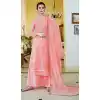 Pink Color Organza Embroidery Pakistani Palazzo Salwar Suit