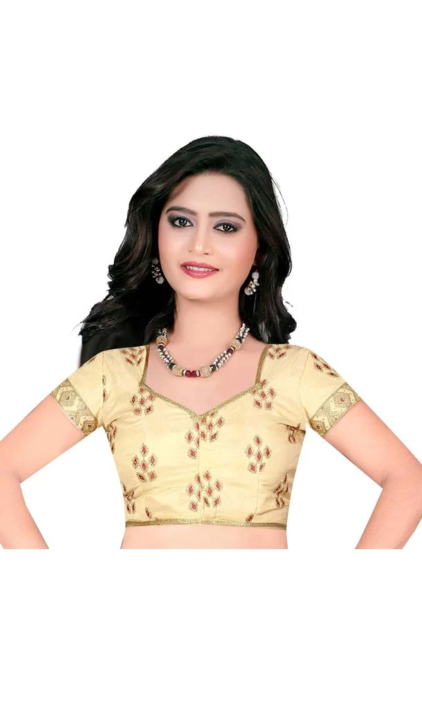 Cream Color Raw Silk Plus Size Readymade Party Blouse -4744040