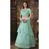 designer lehengas for brother's wedding
