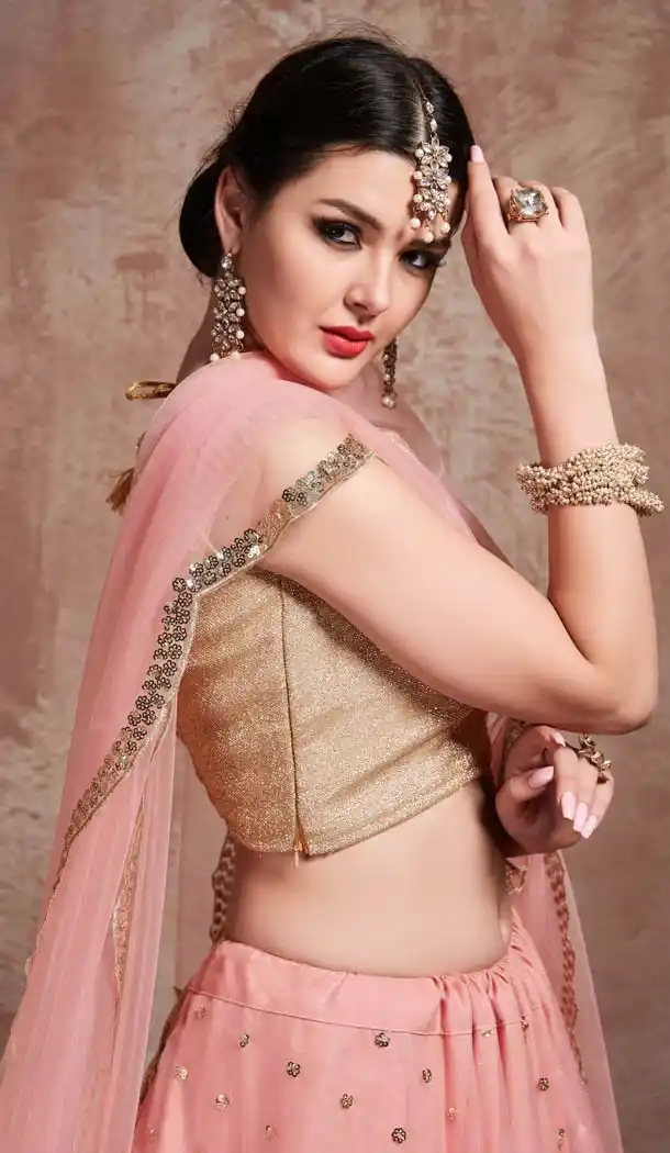 Fascinating Pink Net Fancy Party Wear Designer Lehenga Choli -617077024