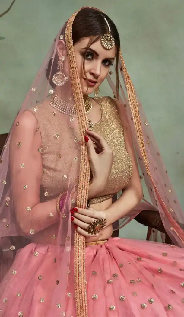 Gorgeous Pink Net Fancy Party Wear Designer Lehenga Choli -617077026