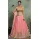 Gorgeous Pink Net Fancy Party Wear Designer Lehenga Choli -617077026